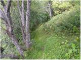 Planina Polog - Planina Dobrenjščica